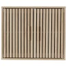 Meuble armoire  rangement murale  60 x 50 x 20 cm