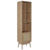 Meuble salle de bain colonne 1 porte 40 x 160 x 30 cm