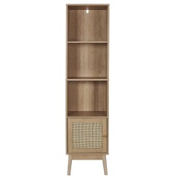 Meuble salle de bain colonne 1 porte 40 x 160 x 30 cm