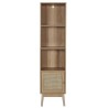Meuble salle de bain colonne 1 porte 40 x 160 x 30 cm