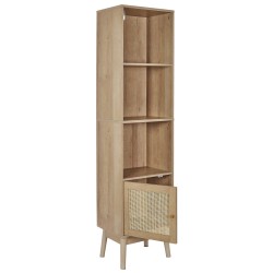 Meuble salle de bain colonne 1 porte 40 x 160 x 30 cm