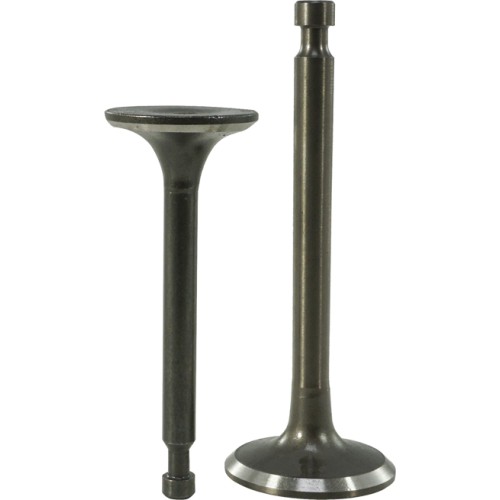 ZAWÓR SILNIKA 15HP