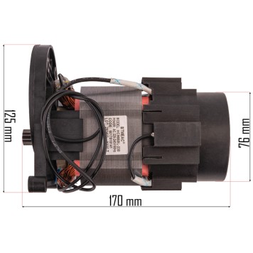 Silnik do myjki ciśnieniowej RTMC0029-SI