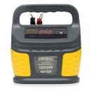 PROSTOWNIK MIKROPROCESOROWY 12V/24V 60-200Ah KD1920