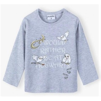 Harry Potter children's long-sleeved shirt 110 cm