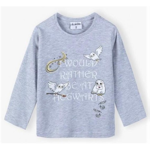 Harry Potter kids long sleeve t-shirt 116 cm