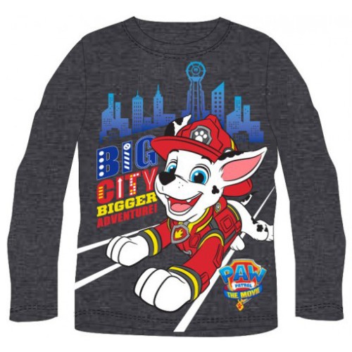 Paw Patrol children's long t-shirt, top 7 years