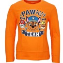 Paw Patrol Pawfect  kids long sleeve shirt, top 98-128 cm