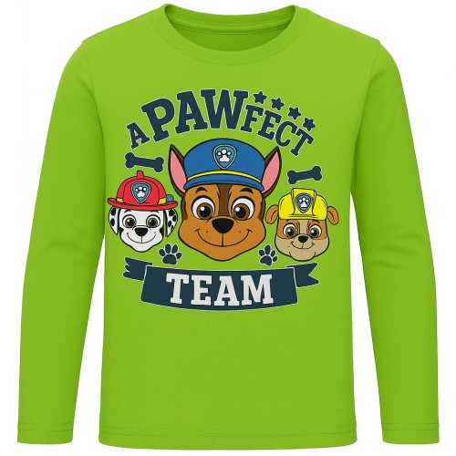Paw Patrol Pawfect kids long shirt, top 6 years / 116 cm