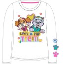 Paw Patrol Treat children's long sleeve top, size 5 years