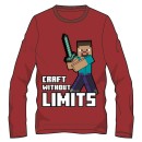 Minecraft children's long sleeve t-shirt, top 12 years