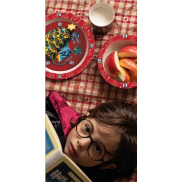 Harry Potter dinner set, micro plastic set, with cup 260 ml