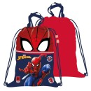 Spiderman Crime Fighter Deluxe sports bag, gym bag 45 cm