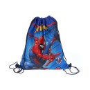 Spiderman Crime Fighter sports bag, gym bag 40 cm
