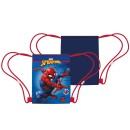 Spiderman Crime Fighter sports bag, gym bag 40 cm