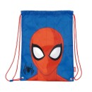 Spiderman Web Weaver sports bag, gym bag 44 cm