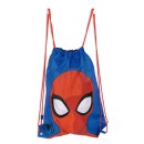 Spiderman Web Weaver sports bag, gym bag 44 cm