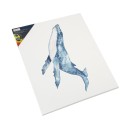 Colour Nassau Stretched wooden frame canvas 50x70 cm