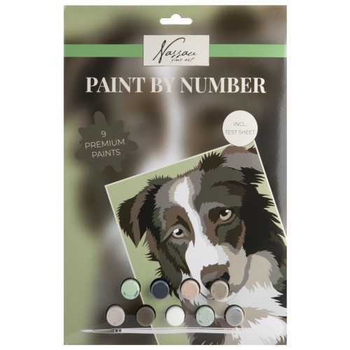 Dog Nassau paint by numbers kit