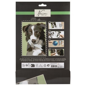 Dog Nassau paint by numbers kit