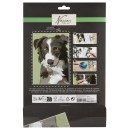 Dog Nassau paint by numbers kit