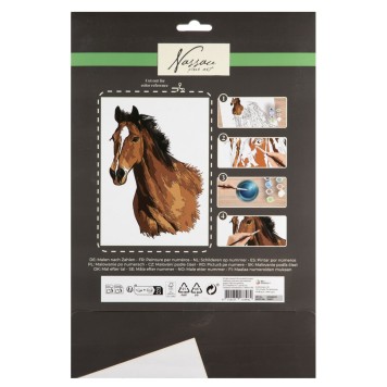 Horses Nassau paint by numbers kit