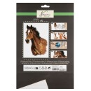 Horses Nassau paint by numbers kit