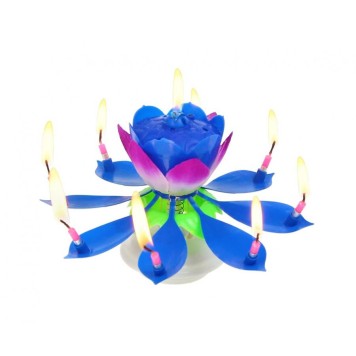 Colour Blue Blue Flower Musical Birthday Candle Set