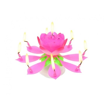 Colour Pink Pink Flower Musical Birthday Candle Set