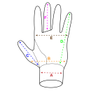 Rękawice narzędziowe robocze ochronne PM-RN-OG9