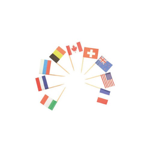Food Flag Decorative Stick 24 pcs