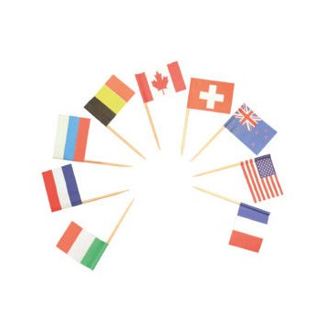 Food Flag Decorative Stick 24 pcs