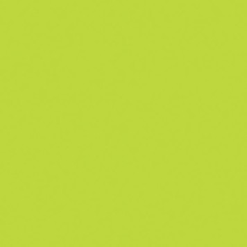 Colour Maki Green napkin 20-pack 33x33 cm