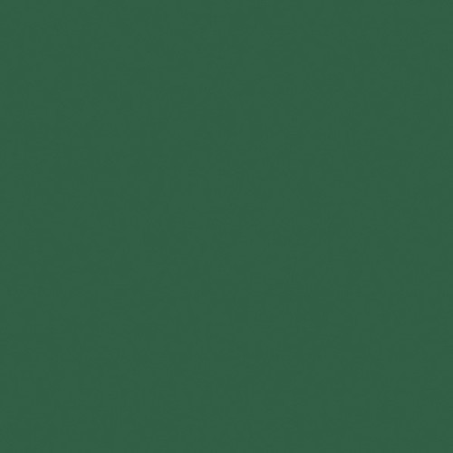 Colour Maki Green napkin 20-pack 33x33 cm