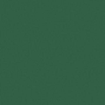 Colour Maki Green napkin 20-pack 33x33 cm