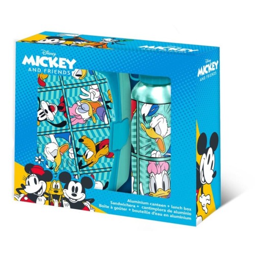 Disney Mickey  Friends sandwich box + aluminum bottle set