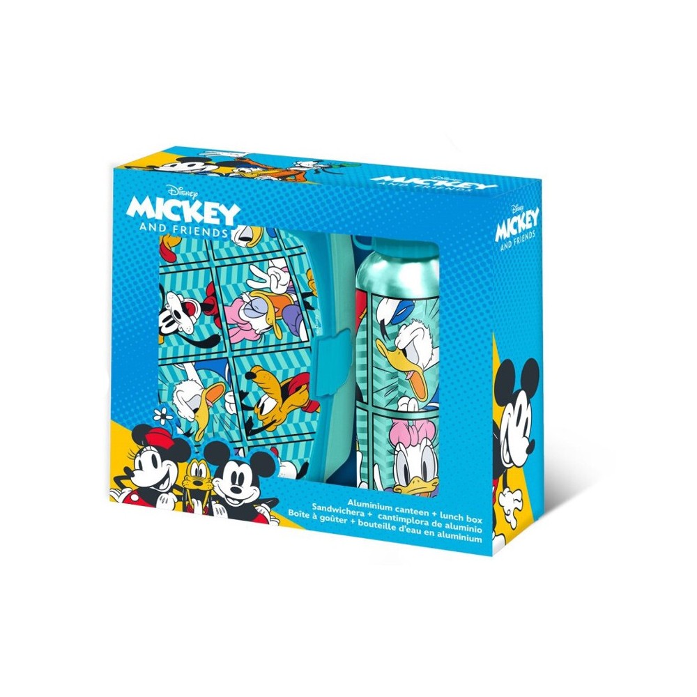 Disney Mickey  Friends sandwich box + aluminum bottle set