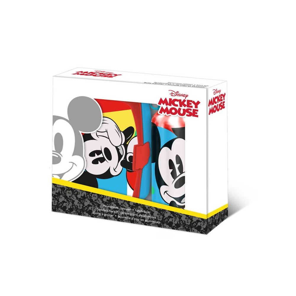 Disney Mickey  Summer sandwich box + aluminum bottle set