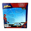 Spiderman World of Web sandwich box + aluminum bottle set