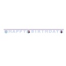 Disney Frozen Idyllic Wonder Happy Birthday banner FSC 2 m