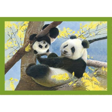 Animals Baby Cuddles 4 in 1 puzzle Clementoni
