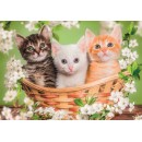 Animals Brothers in Fur 2x60 piece puzzle Clementoni