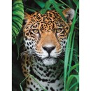 Állatos Jaguar 500 db-os puzzle Clementoni