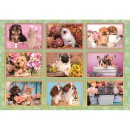 Állatos Puppies Collage 180 db-os puzzle Clementoni