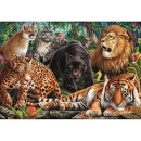 Animals Wild Cats 500-piece Compact Puzzle Clementoni