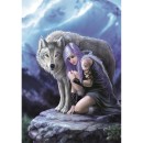 Fantasy Protector Anne Stokes 1000-piece Compact puzzle Clementoni