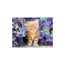 Animals Ginger Cat 500-piece puzzle Clementoni