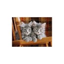 Animals Grey Cat 500-piece puzzle Clementoni