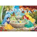Disney Princess Fountain 60-piece Clementoni Puzzle