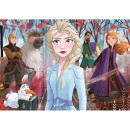 Disney Frozen Echoes 2x20 pieces puzzle Clementoni